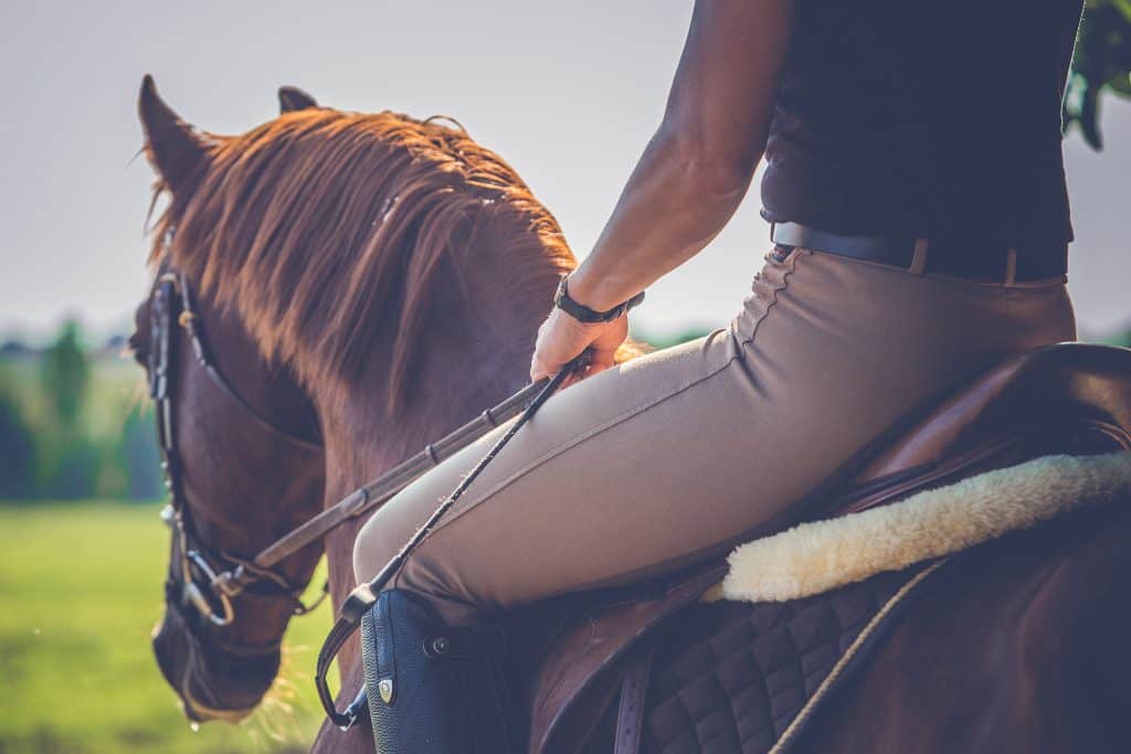Kako naučiti jahati konja